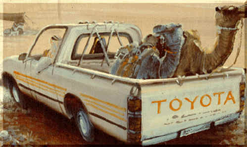 Camel on Toyota.gif (98369 bytes)